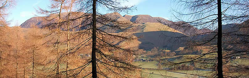 Looking through the trees towards Buttermere village, Grasmoor and the Coldale Fells
